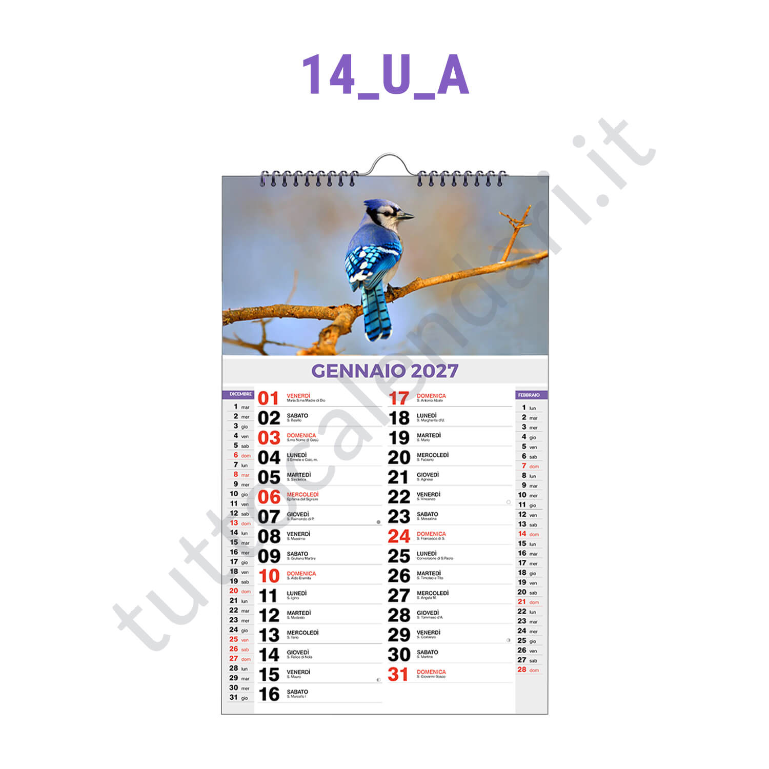 Calendario su misura da muro verticale Calendario su misura spiralato